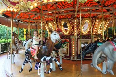 Wild Animal Carousel
